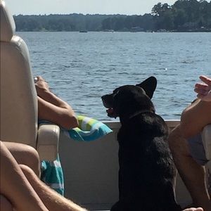 Meet your Posher, Matthew